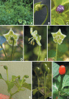 Figure 26.