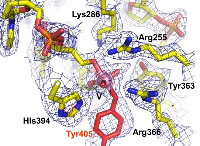 Figure 5