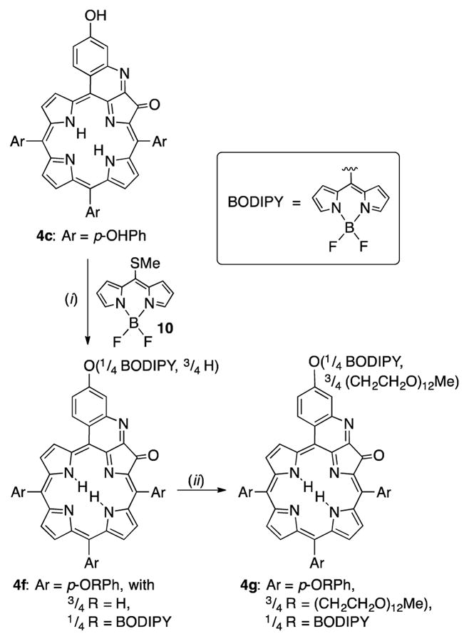 Scheme 3