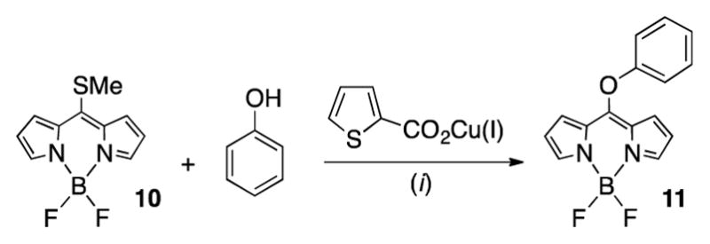 Scheme 2