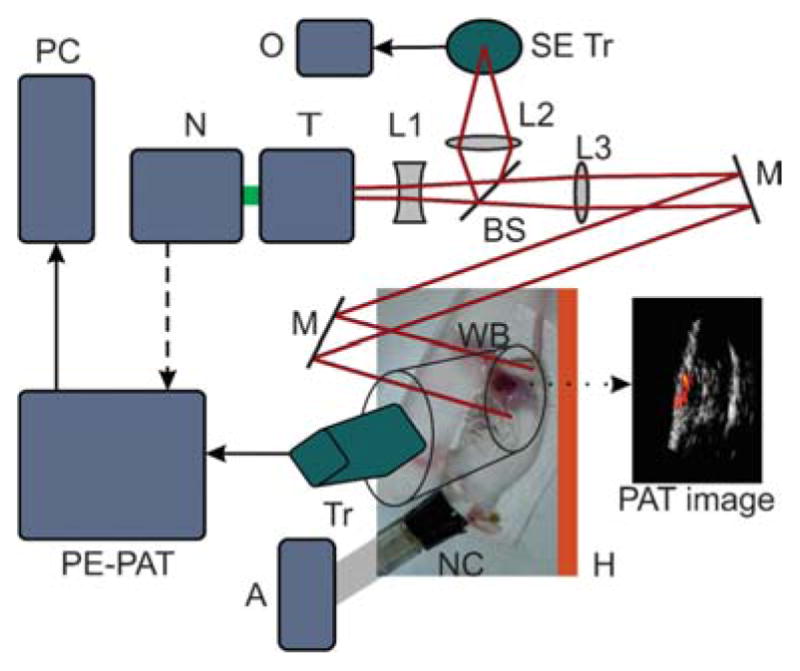 Figure 7