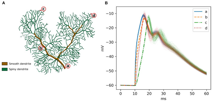 Figure 6