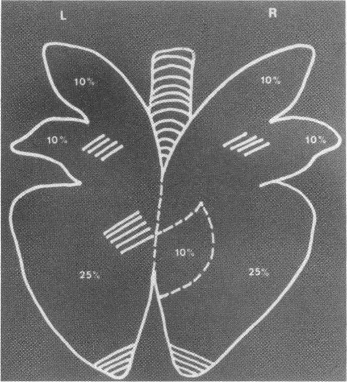 graphic file with name iai00050-0090-a.jpg