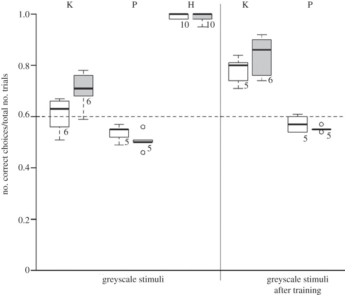 Figure 3.