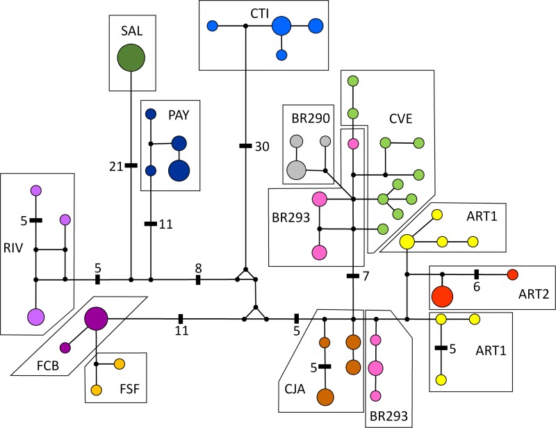 Fig 3