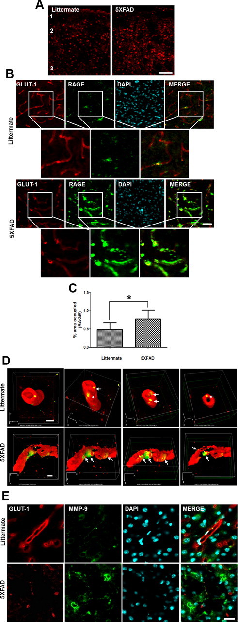 Figure 6.