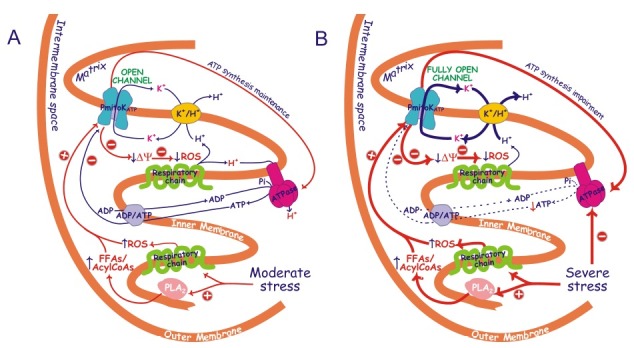 Fig. 2.