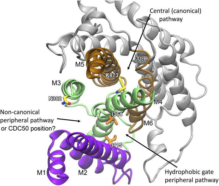 Figure 6