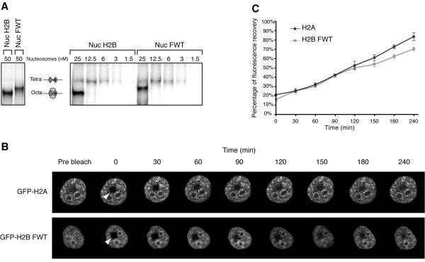 FIG. 4.