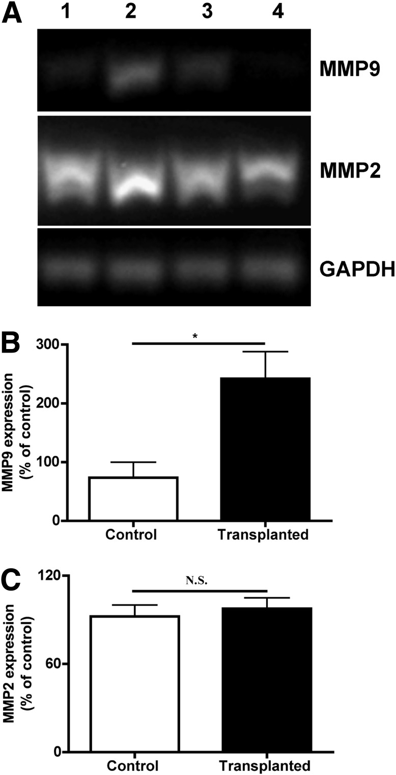 FIG. 1.