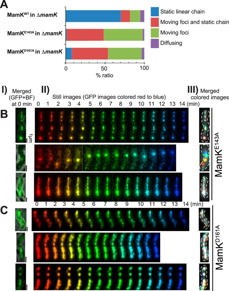 FIG 4 