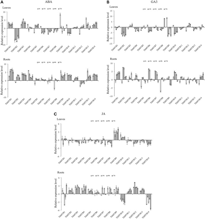 FIGURE 4