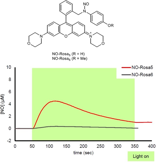 Figure 5