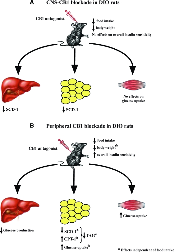 FIG. 8.