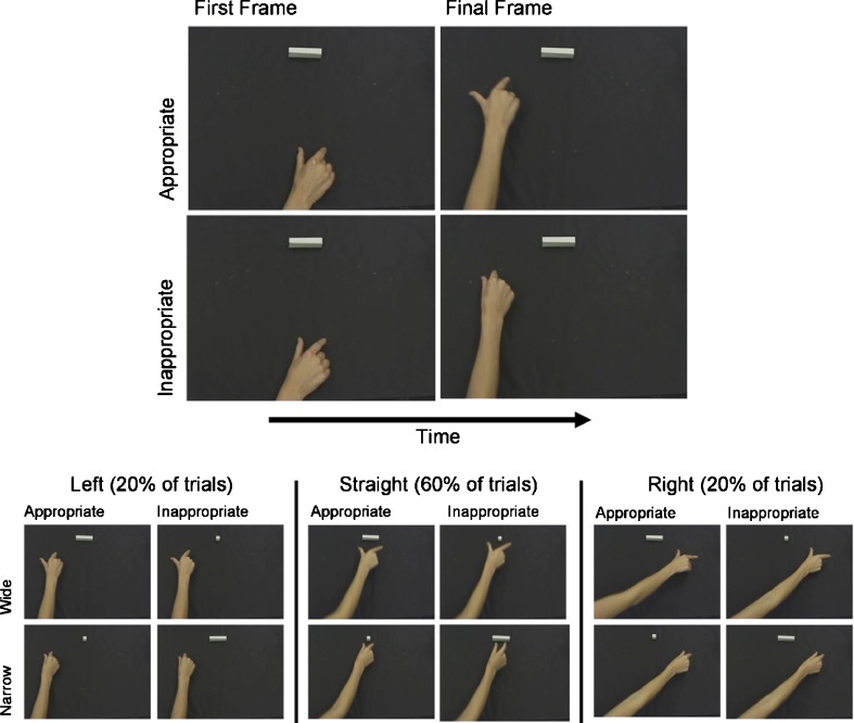 Fig. 1