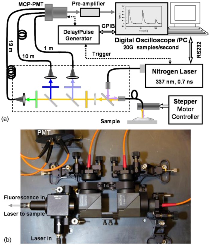 Fig. 1