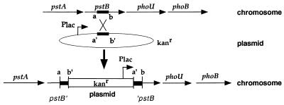 FIG. 6