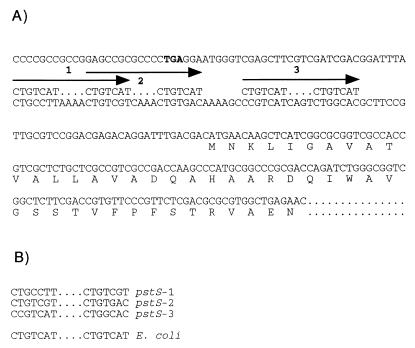 FIG. 5