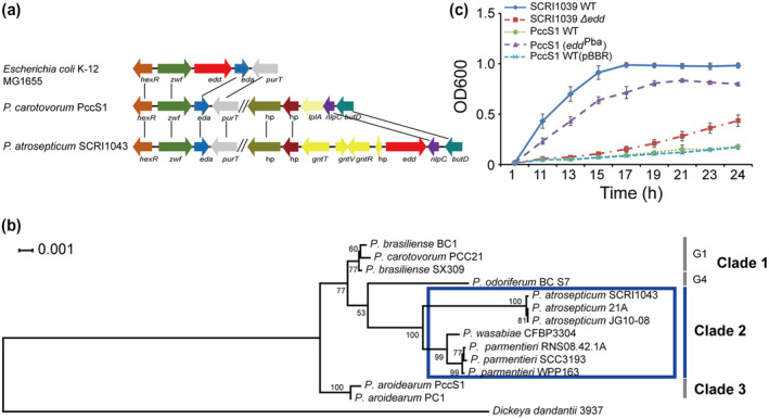 FIGURE 2