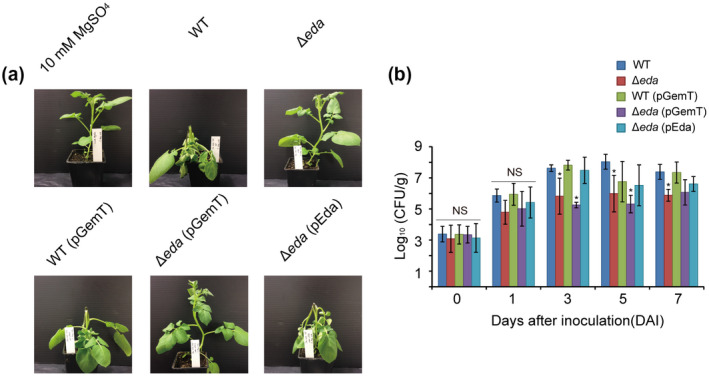 FIGURE 4