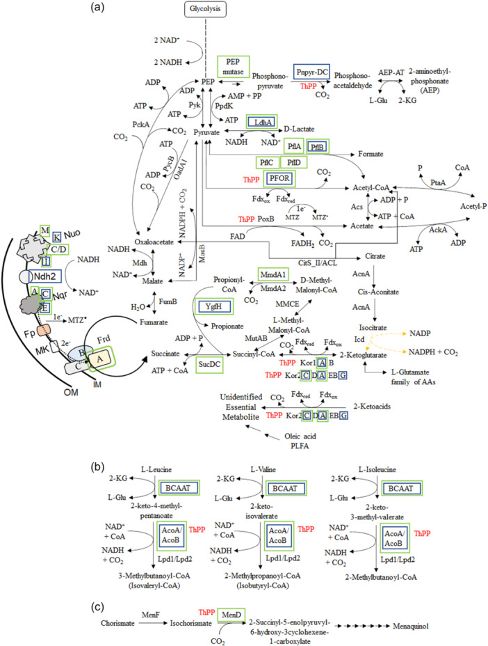 Figure 14