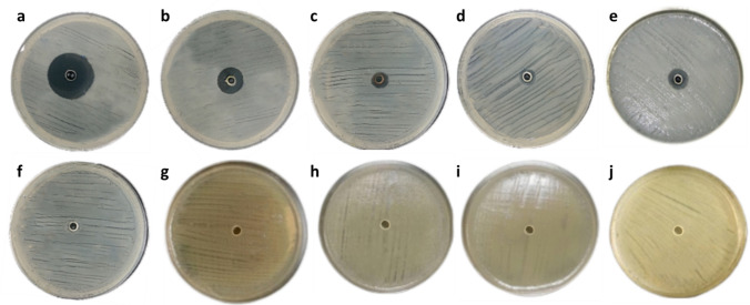 Fig. 2