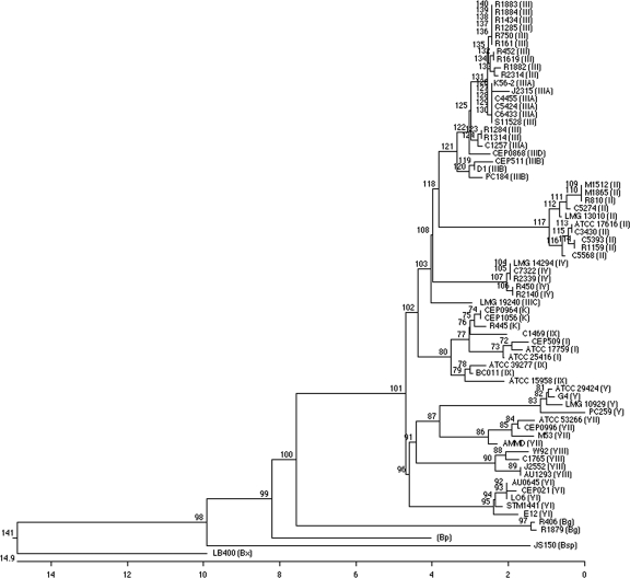 FIG. 1.