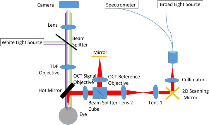 Fig. 1