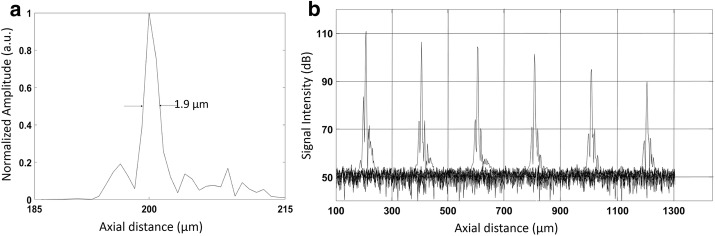 Fig. 2