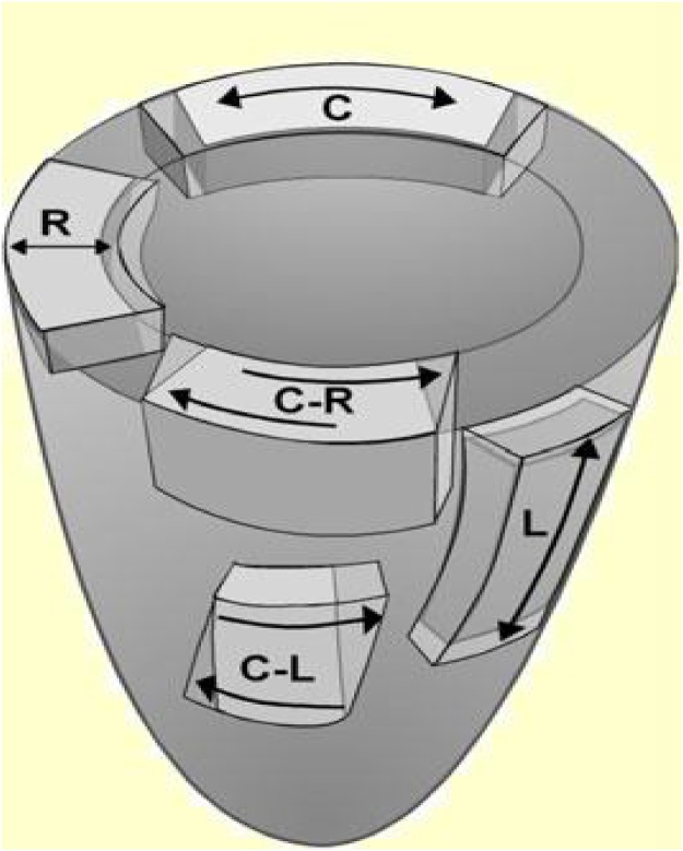 Fig. 2