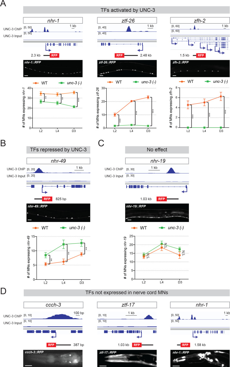 Figure 3—figure supplement 1.