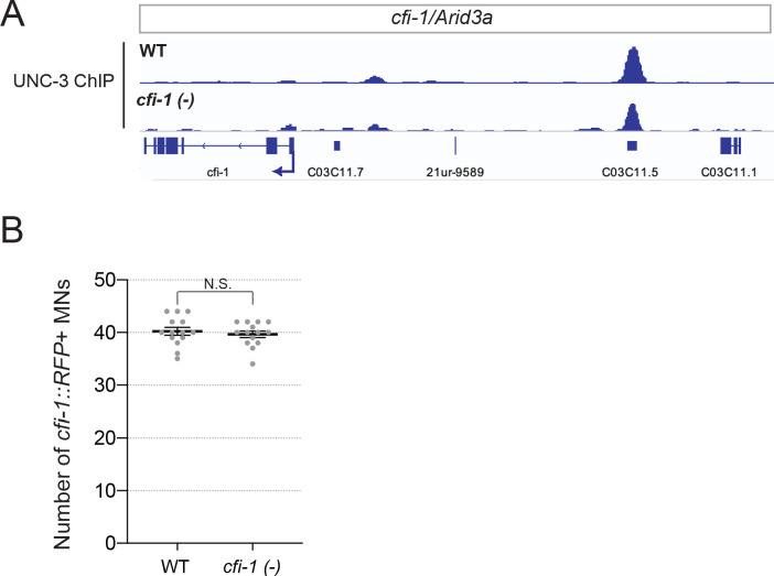 Figure 4—figure supplement 1.