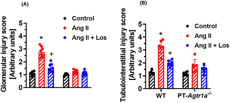 Figure 10.