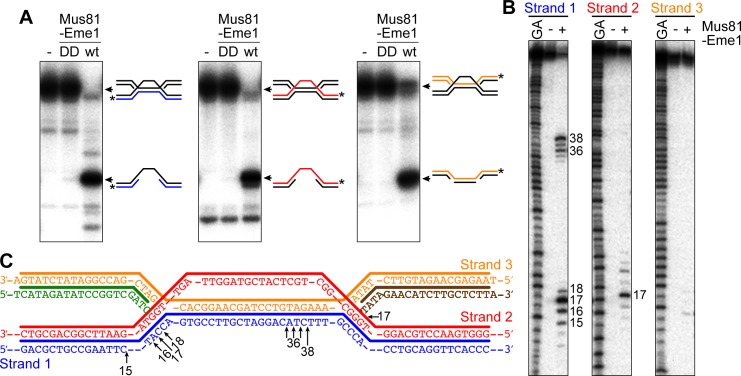 Figure 6.