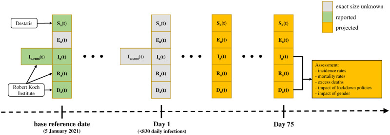 Fig 5