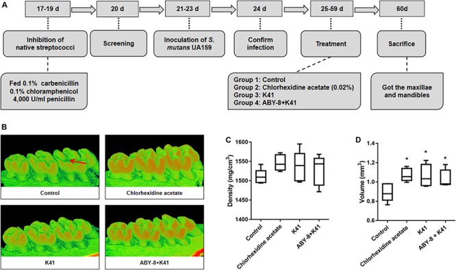 FIGURE 4