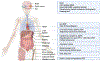 Figure 6: