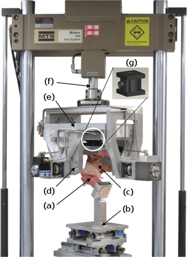 Fig. 4