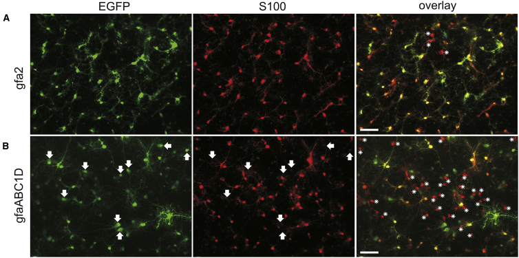 Figure 2