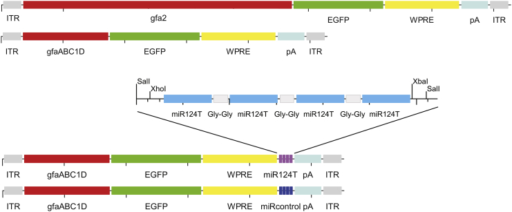 Figure 1