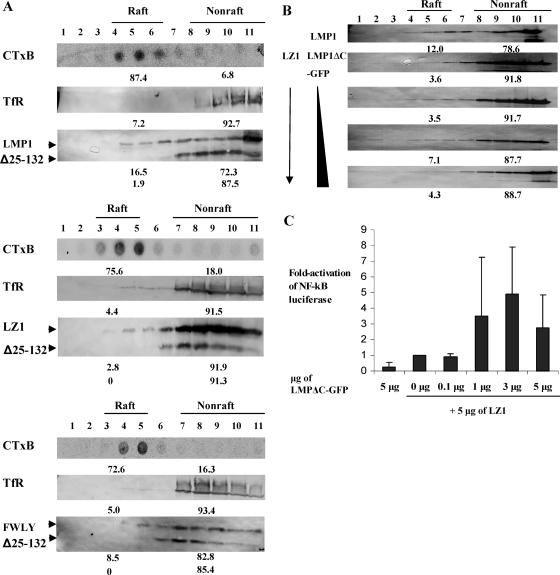 FIG. 2.