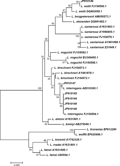 Figure 2.