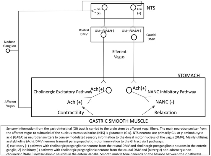 neurontin anxiety reviews