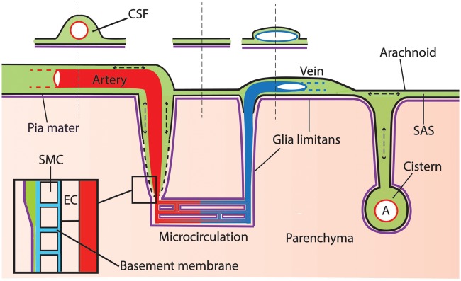 Figure 7.