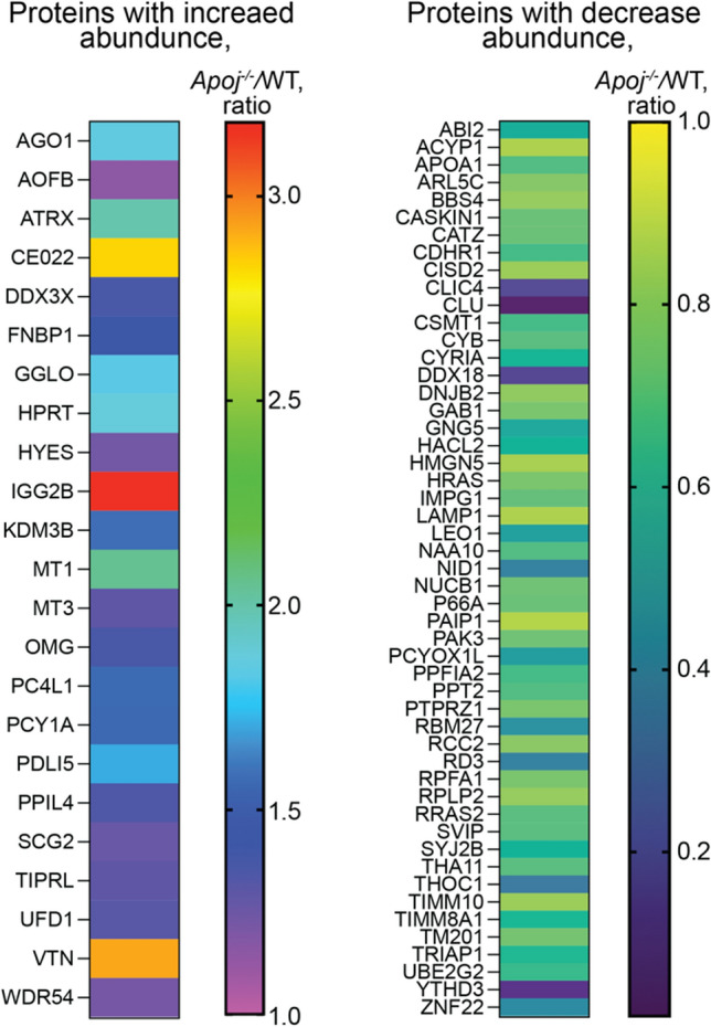 Fig. 10