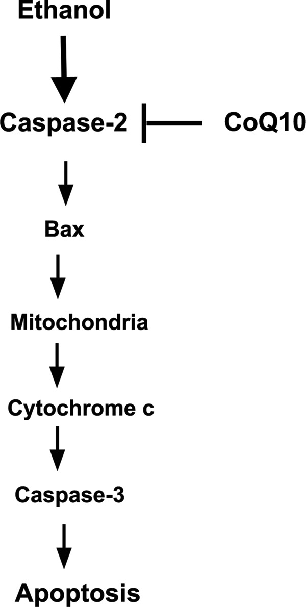 FIGURE 10.