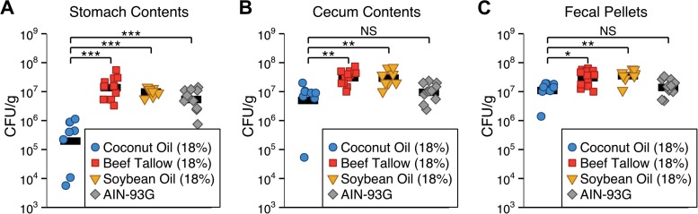 FIG 2 