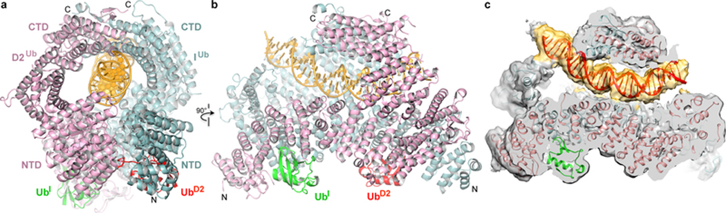 Figure 2 |