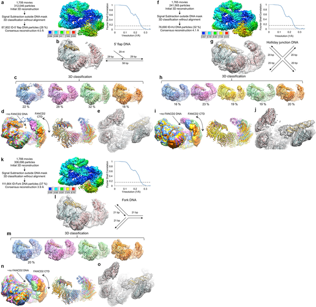 Extended Data Figure 5 |