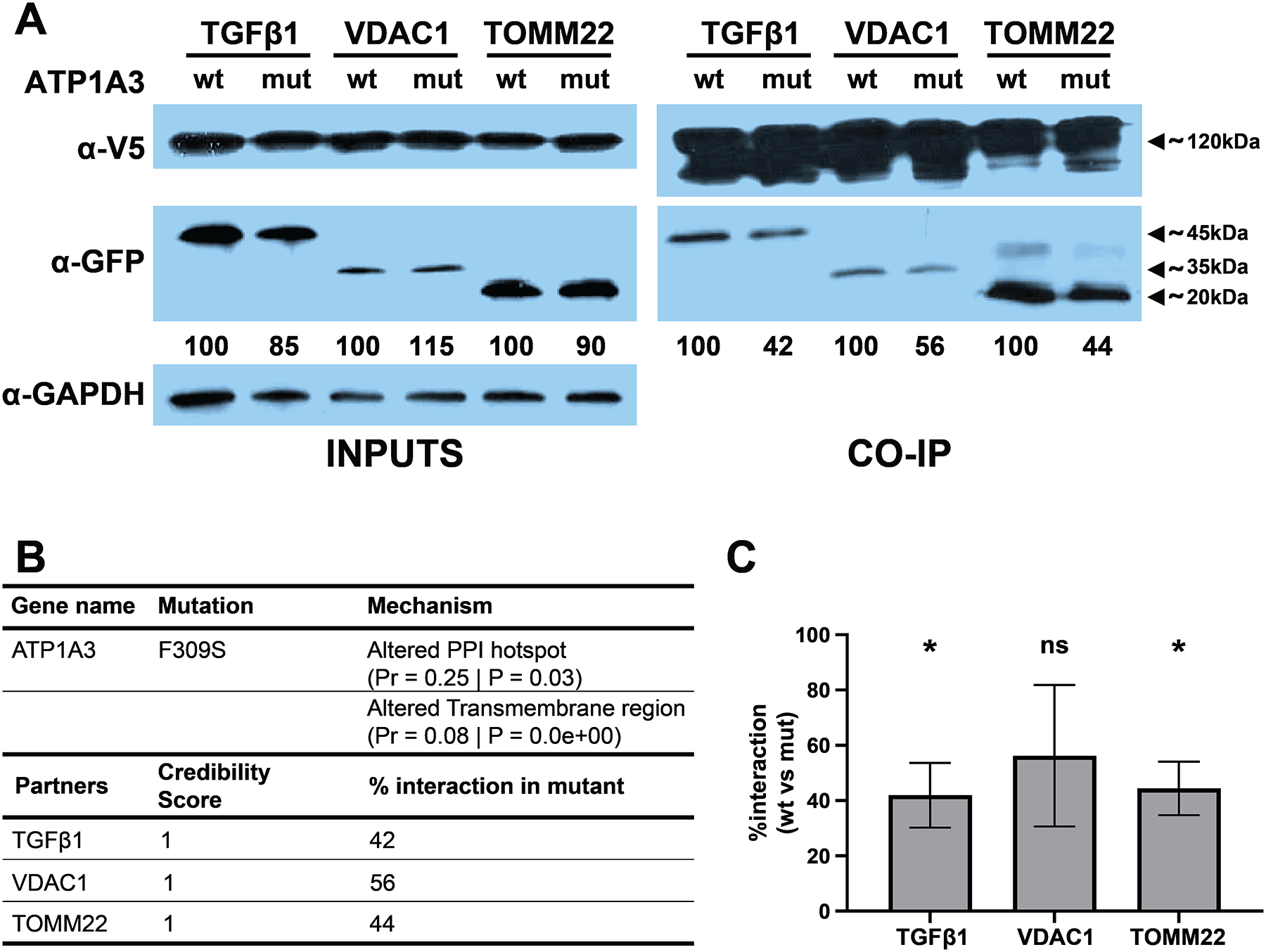 Figure 6: